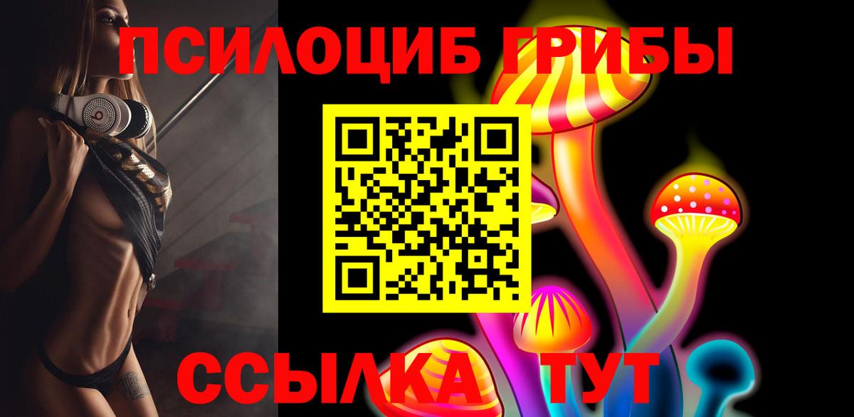 Тара  Галлюциногенные грибы Cubensis  Вход с VPN 